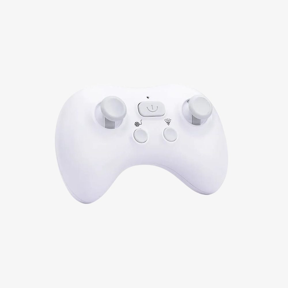 Remote Control Whale Shark Toy